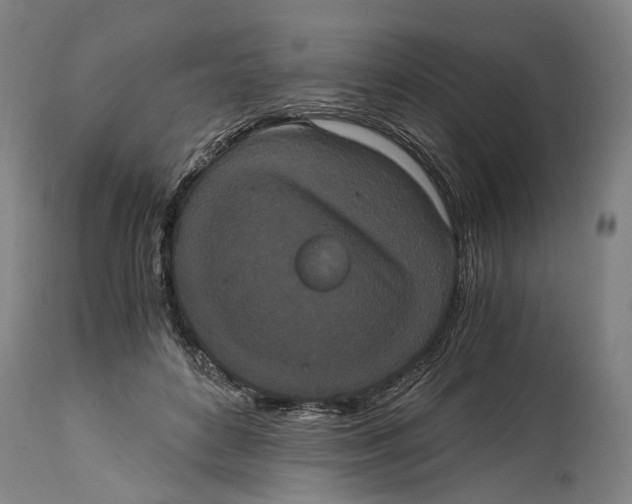 X0000114590504200911161334