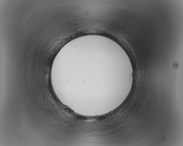 X0000114590505200911161334