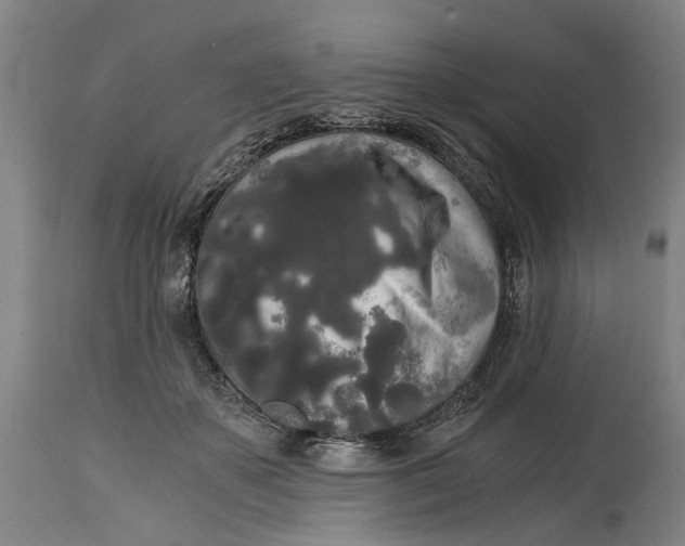 X0000114590507200911161334