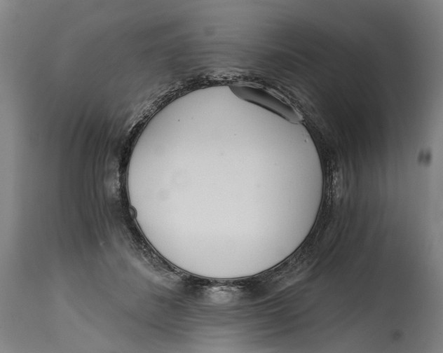 X0000114590508200911161334