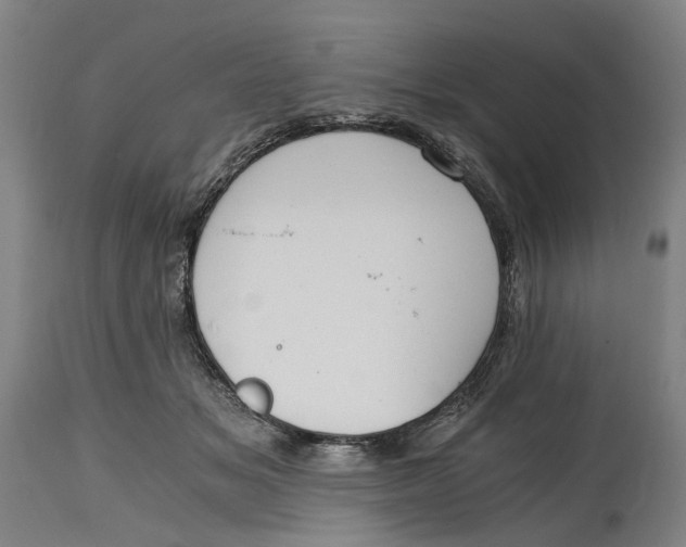 X0000114590509200911161334