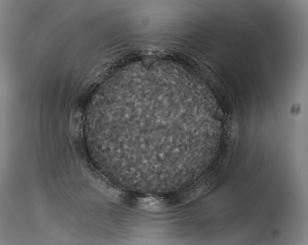 X0000114590511200911161334