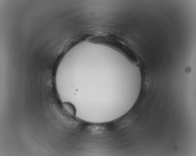 X0000114590512200911161334