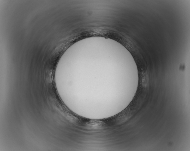 X0000114590514200911161334