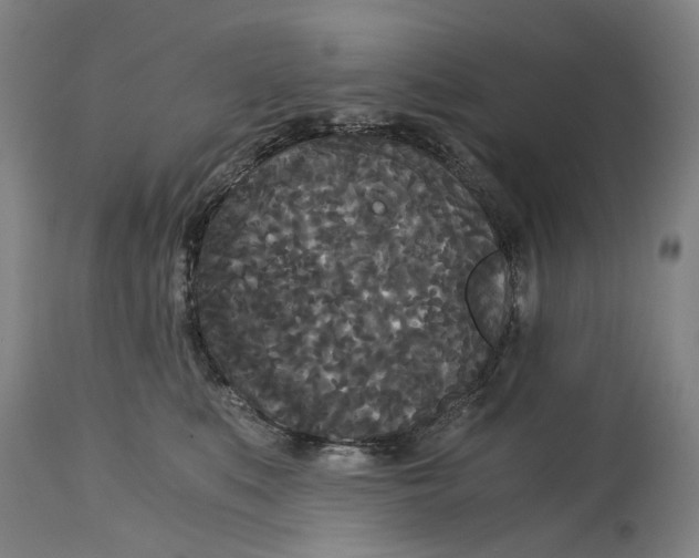 X0000114590519200911161334