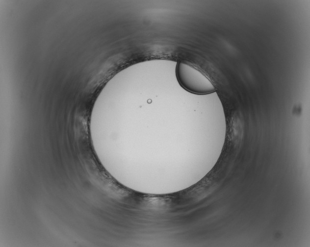 X0000114590522200911161334