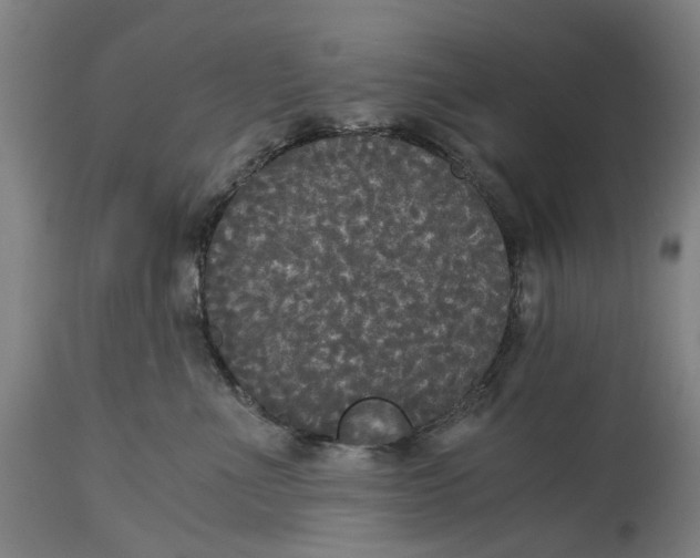 X0000114590523200911161334