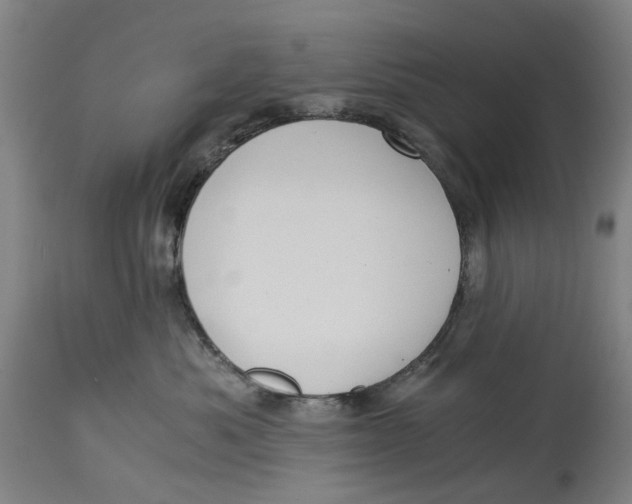 X0000114590525200911161334