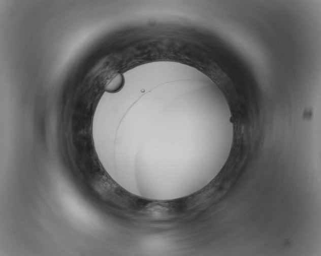 X0000114590526200911161334