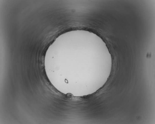 X0000114590528200911161334