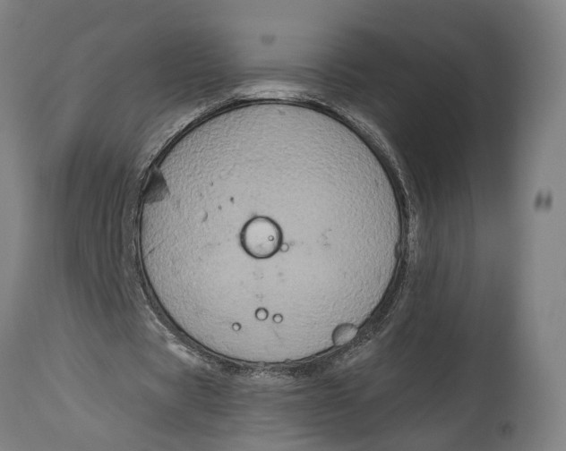 X0000114590529200911161333