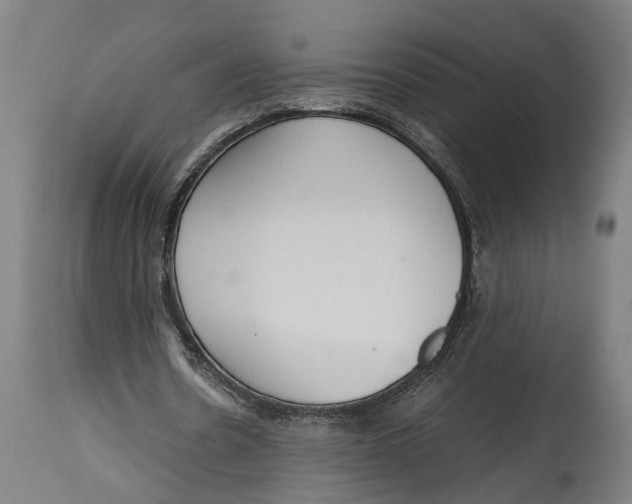 X0000114590530200911161333