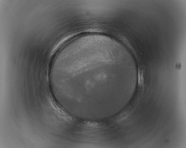 X0000114590531200911161333