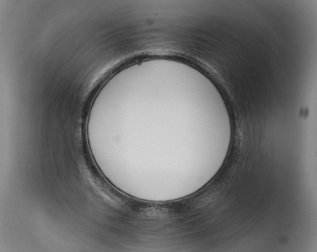 X0000114590535200911161333