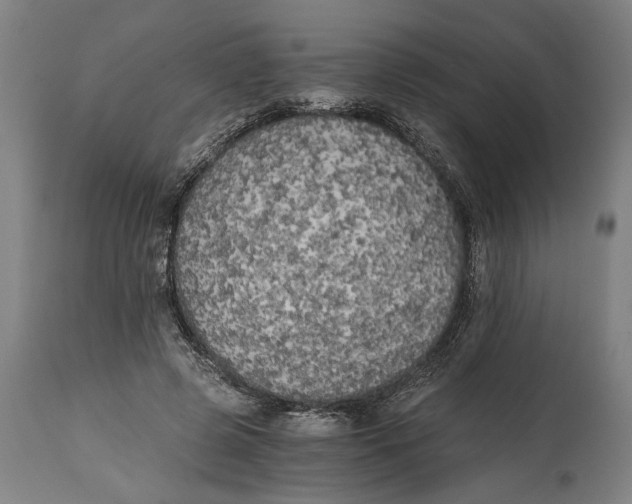 X0000114590545200911161334