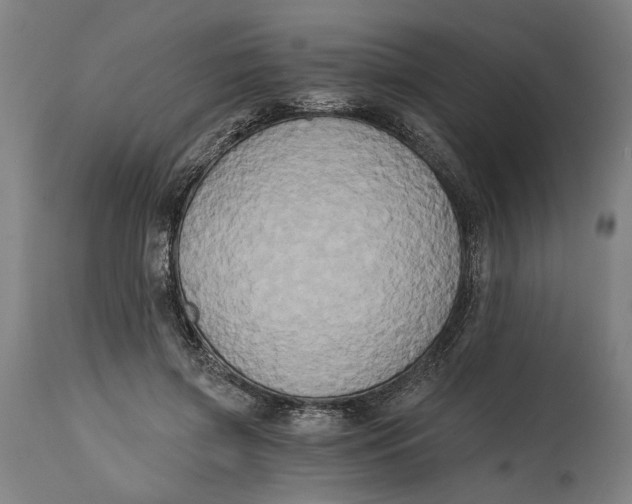 X0000114590549200911161334