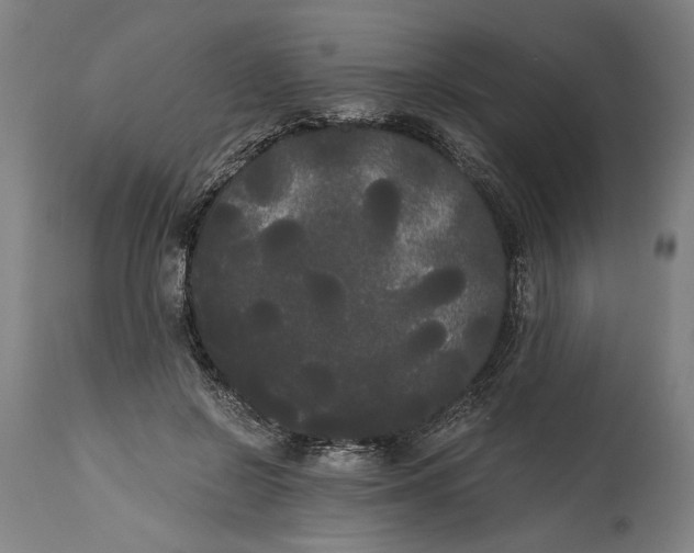 X0000114590550200911161334