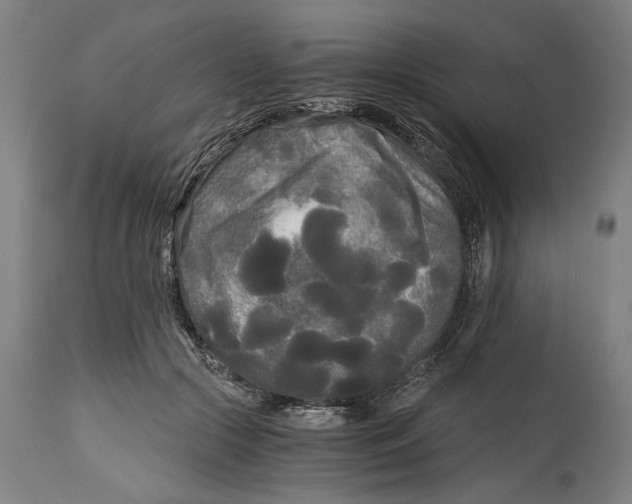 X0000114590553200911161334