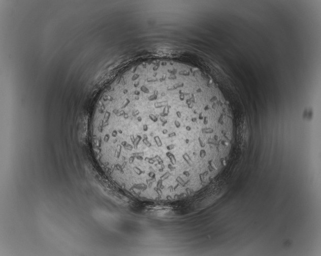 X0000114590554200911161334