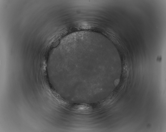 X0000114590555200911161334