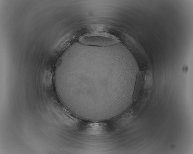 X0000114590558200911161334