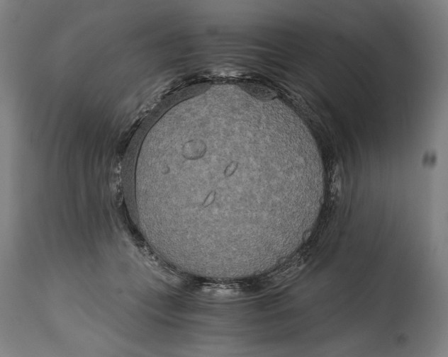 X0000114590559200911161334