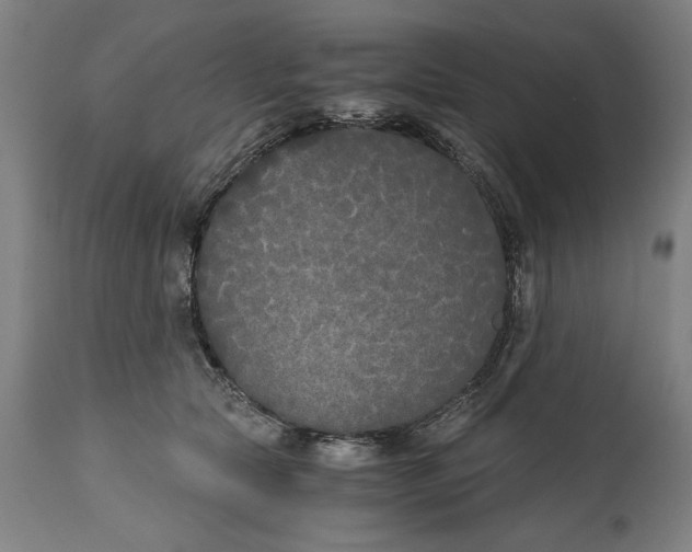 X0000114590561200911161334