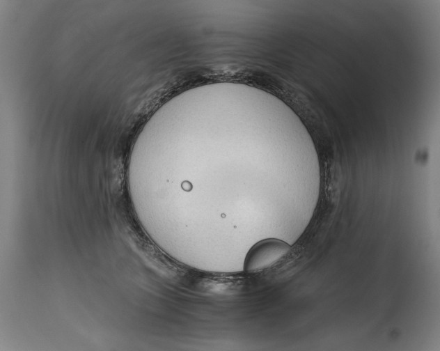 X0000114590563200911161334