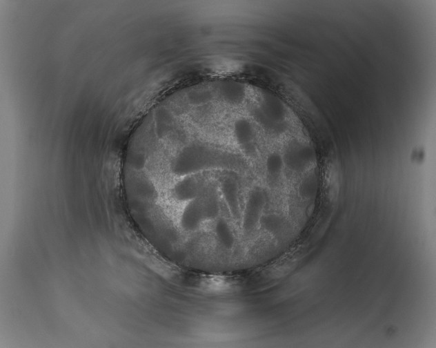 X0000114590565200911161334