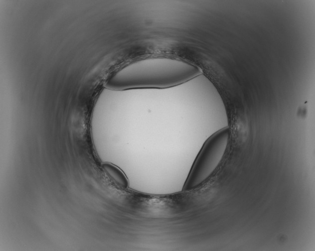 X0000114590566200911161334