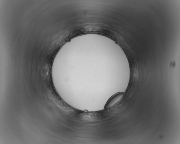 X0000114590567200911161334