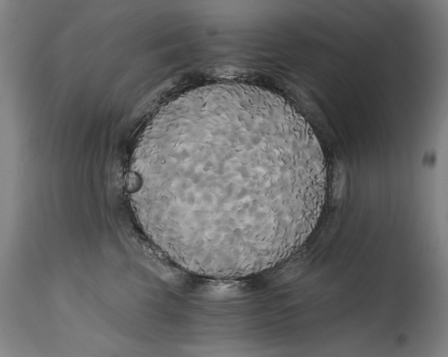 X0000114590569200911161334