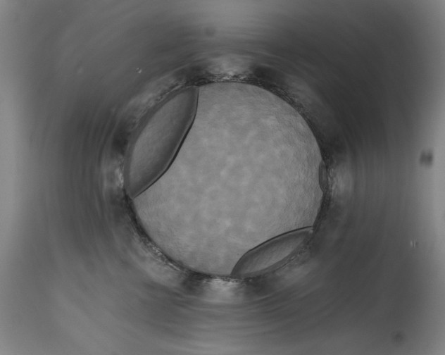 X0000114590570200911161334