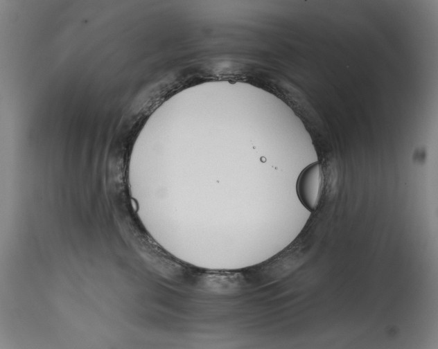 X0000114590571200911161334