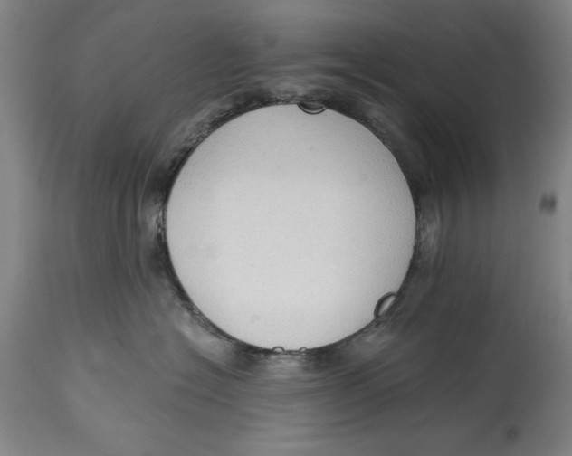 X0000114590574200911161334