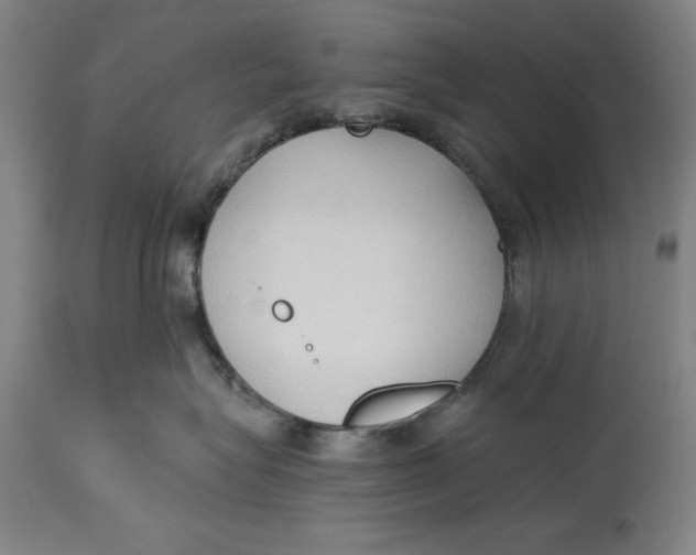 X0000114590575200911161334