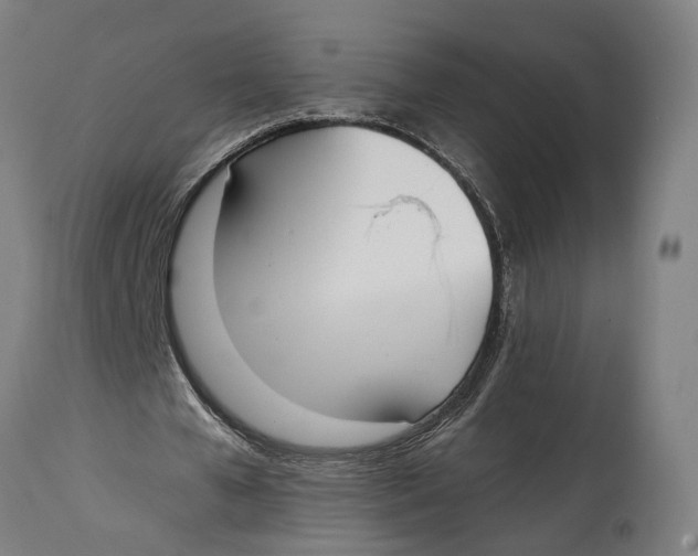 X0000114590577200911161333