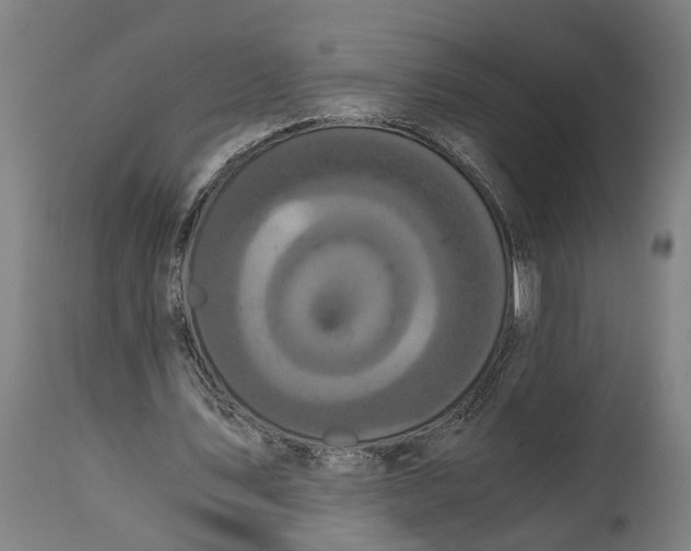 X0000114590579200911161333