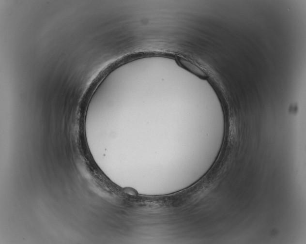 X0000114590580200911161333