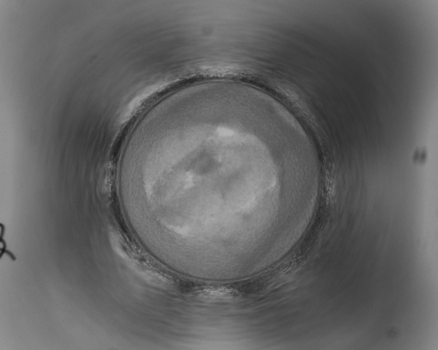 X0000114590583200911161333