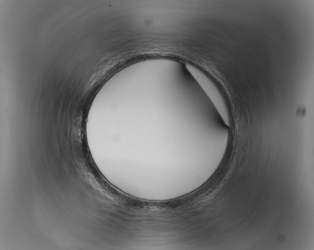 X0000114590585200911161333