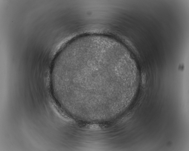 X0000114590588200911161333