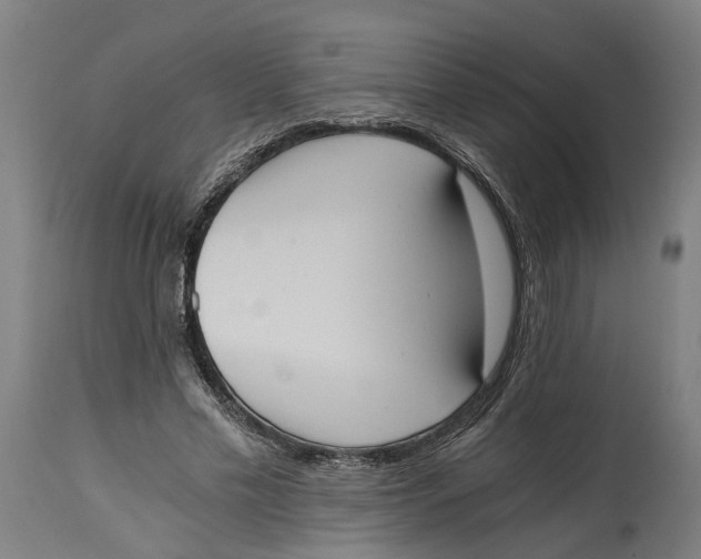 X0000114590589200911161333