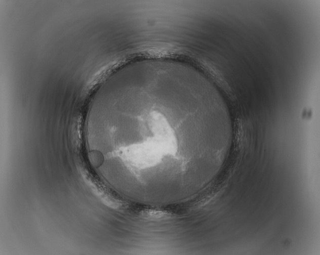 X0000114590590200911161333