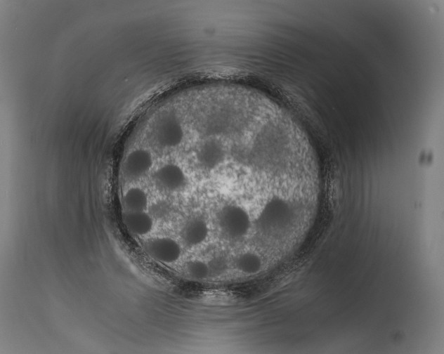 X0000114590591200911161333