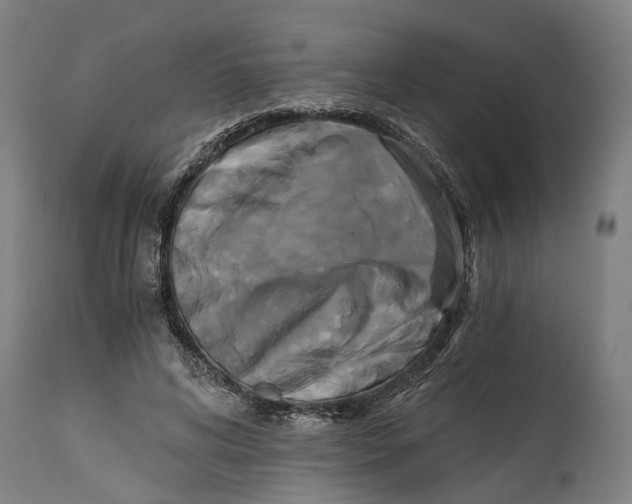 X0000114590592200911161333