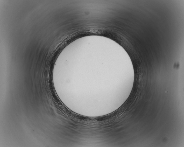 X0000114590595200911161333