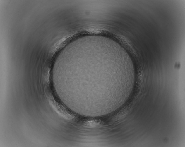 X0000114590596200911161333