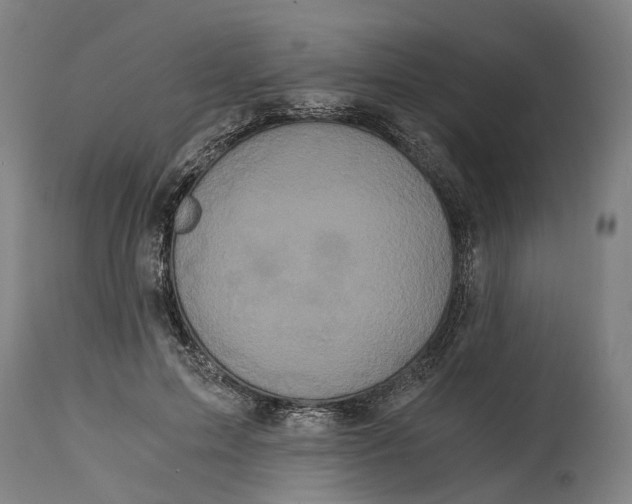 X0000114590599200911161333