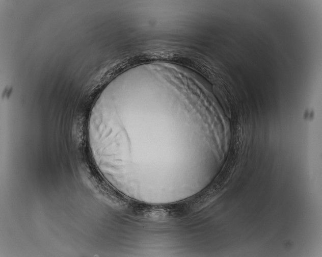 X0000114590600200911161333